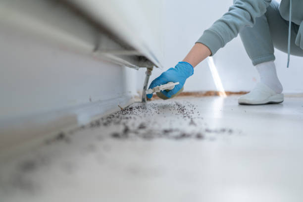 Trusted Moss Beach, CA Pest Control Experts